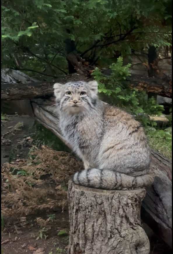 第２回、那須どうぶつ王国へ！